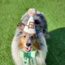 멍블랑제리 이미지