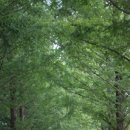 담양여행 이미지