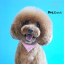 도그스케치 이미지