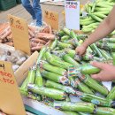 하늘이네 이미지