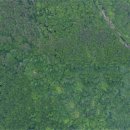 심원자연 이미지