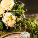 판도라의 숲 이미지