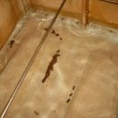 (주)성우이앤씨 이미지