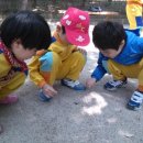 꼬마동네 어린이집 이미지