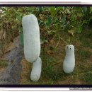 샘밭농장 이미지