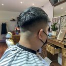 TURTLECOMB(터틀콤)