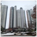 수원-1209 네이버블로그