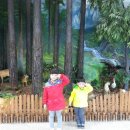 숲사랑(산불방지)홍보관 이미지