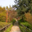 뻥튀기공원 이미지