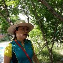 예봉초등학교(병설) 이미지