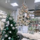 트리나하우스 | 크리스마스집단장 필수코스! 모던하우스 부천, 크리스마스파티 용품 총정리