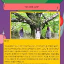 일루건축사사무소 이미지