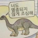 정현푸드 | 26년 3월 후기