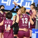 현대인삼 이미지