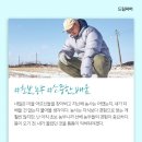 파머드림