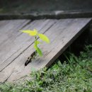 추억의 뽑기방 이미지