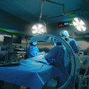 뉴로동물암센터 이미지