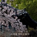막장인생 이미지