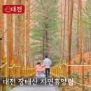 세븐일레븐대전문화마음점 | 장태산자연휴양림 산림문화휴양관 백두산 대전여행코스 추천