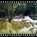 백봉령 농장 이미지