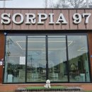 삼육사로 | 동두천 애견카페 소르피아97 다녀온 후기