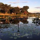 호담목장 이미지