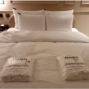 모텔행복비치 | 용인 민속촌 주변 모텔 고민 끝에 찾은 곳