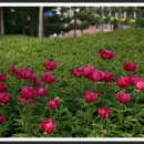 실내체육관 앞 이미지