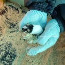 김영이농장 이미지