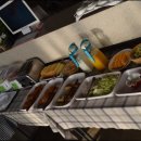 크로톤풀빌라 이미지