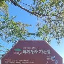 팔공산올레길 1코스 이미지