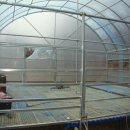 화천흑염소농장 이미지