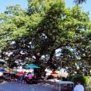 월영동175 이미지