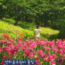 숲속쉼터옆 이미지