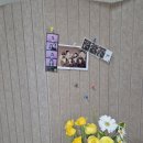 B07 | B07. 데일리담 부착식 템퍼보드_사진 보드판_게시판 인테리어 후기