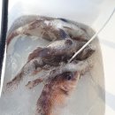 남해-318 이미지