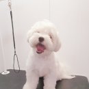 도담도담이발소 이미지