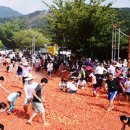 화천 가볼만한곳 화천 토마토축제 이미지