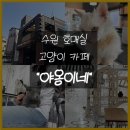 [도로]수원의료원 입구 | 수원 호매실 고양이 카페 야옹이네 솔직 후기 | 가격, 운영시간, 주차까지 총정리