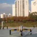 탄천 이미지
