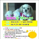 신계초교 이미지
