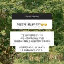 2022-1062 | #1_제주스냅 '두시의 동화' & '스타일리스트 제희' 계약 후기