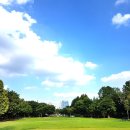 중국어회화(기초) 이미지