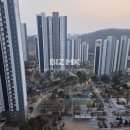 불당린스트라우스 부동산공인중개사사무소 네이버블로그