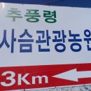 월류봉농원 이미지