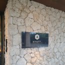 세라레스토랑 | 오키나와 가족 리조트 추천 하얏트 리젠시 세라가키 후기 아기와 부모님 모두 만족