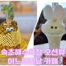 속초해수욕장 5분 거리, 바다를 가장 편안하게 마주하는 카페 '어느멋진날'