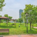 수지아르피아 이미지