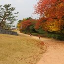 수원시 팔달구 창룡문로7번길 이미지