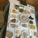 학섬식당펜션 | 거제 이수도 1박 3식 학섬 펜션 여행 간단 후기